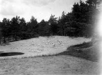 Druskieniki. Plaża nad Niemnem