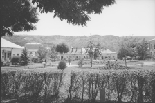 Willa letniskowa w Zaleszczykach