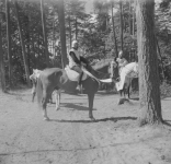 Plan filmu "Krzyżacy". Na fotografii widoczny jest polski jeździec