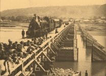 Dołęga-Mostowicz 6