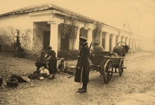 Targ warzywny w Nowogródku