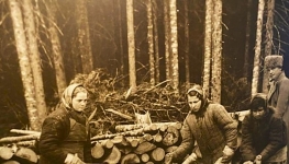 Wysiedlenia Polaków 10