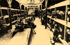 Wyzwolenie Auschwitz 5