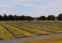 Cmentarz polskich żołnierzy w Zgorzelcu 2