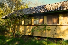 Tramwaj Lilpopa 12