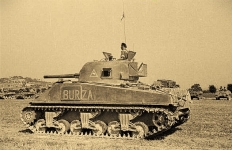Sherman w polskich oddziałach