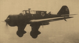 Polskie lotnictwo 21