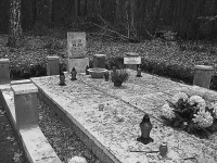 Las Szpęgawski 13